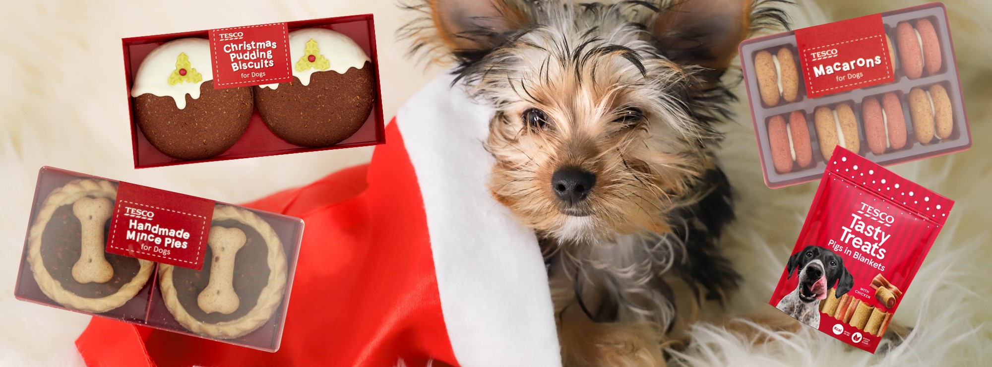 Biggest ever Christmas for pets